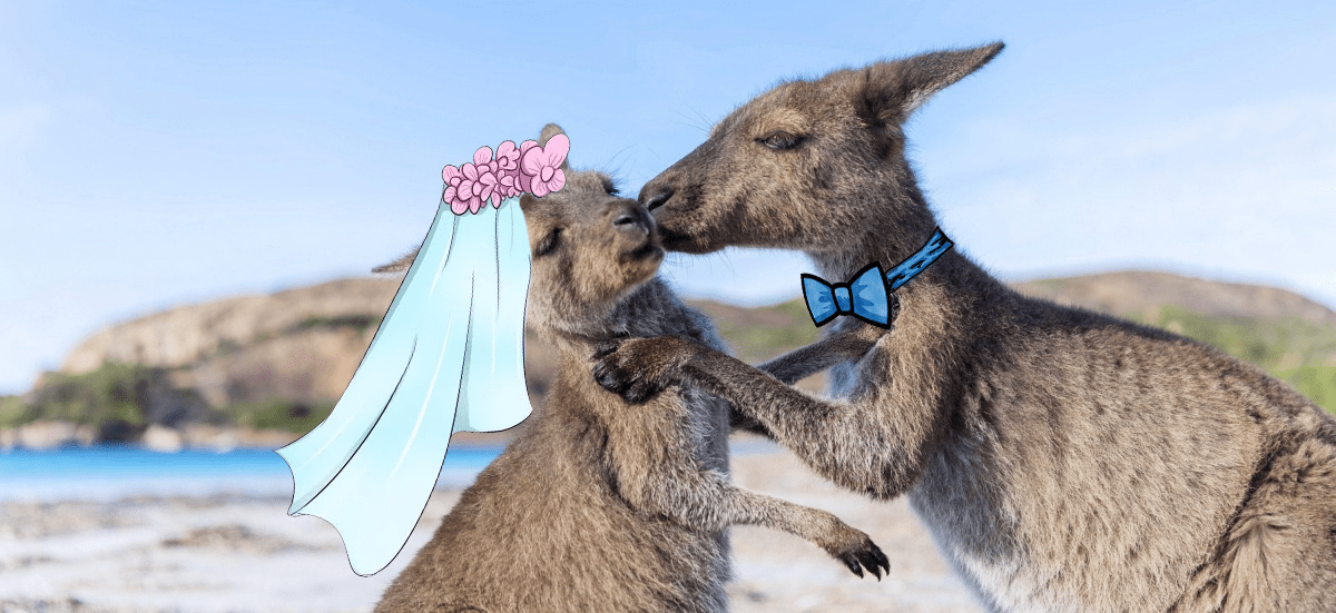Виза невесты в Австралию