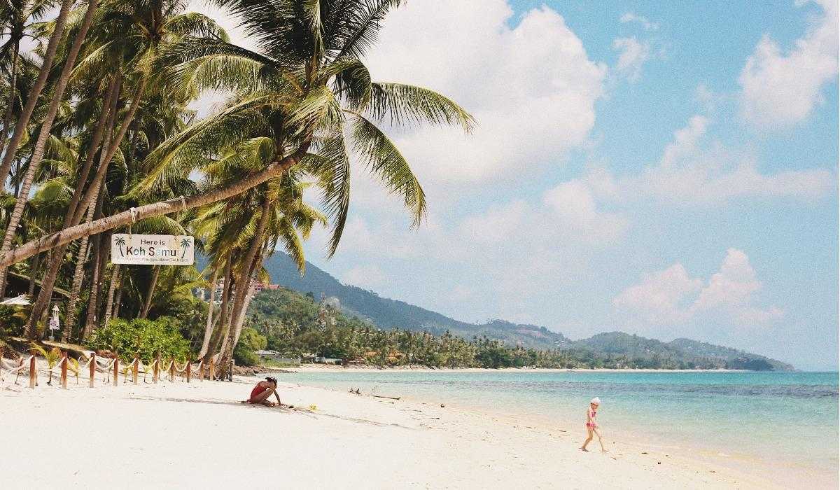 Высшее образование в Норвегии: условия поступления и особенности ...