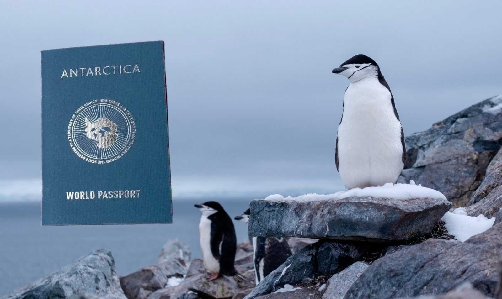 Как получить белый паспорт Антарктиды: 100 стран без виз