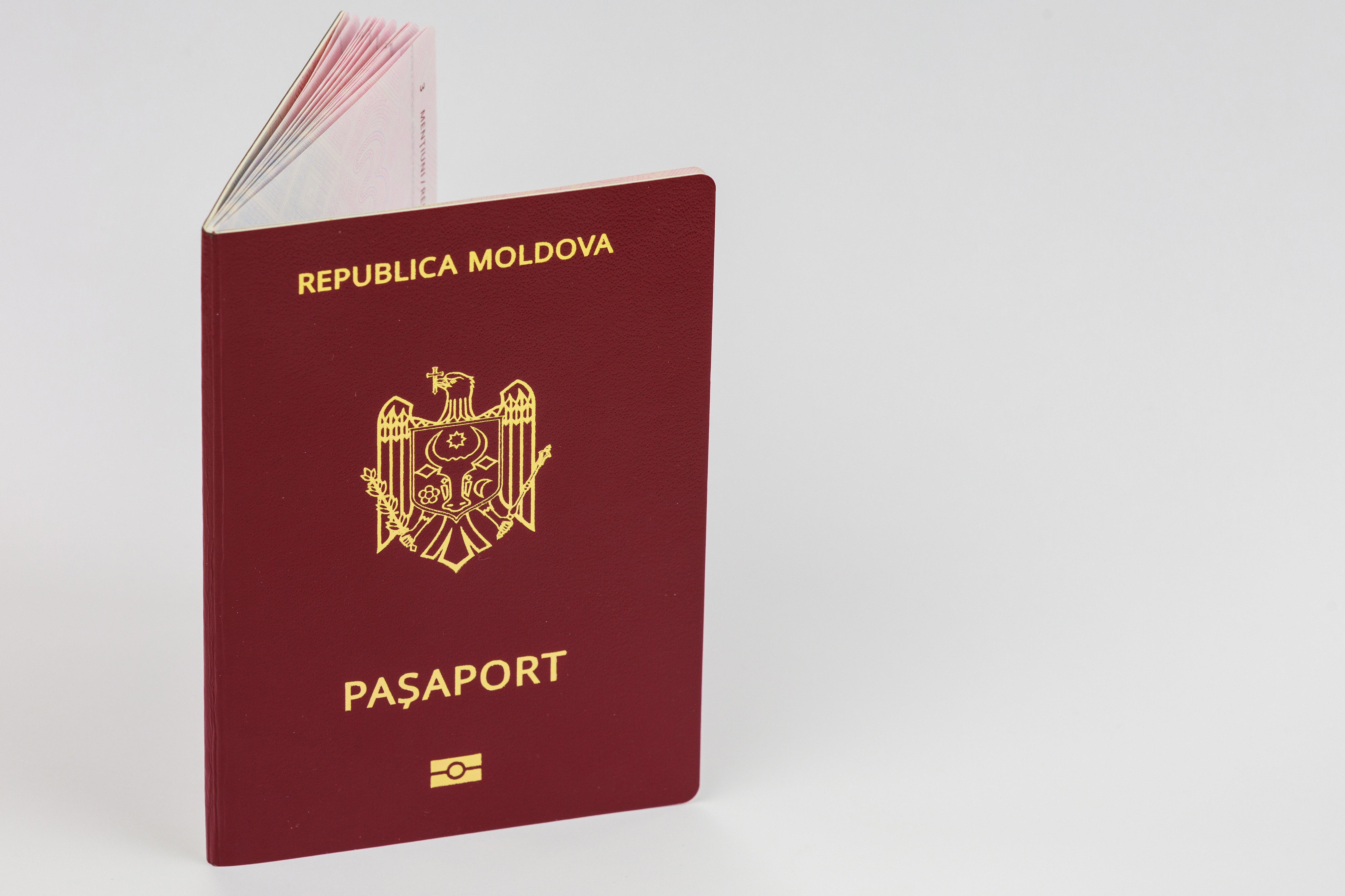 Двойное гражданство в Молдове
